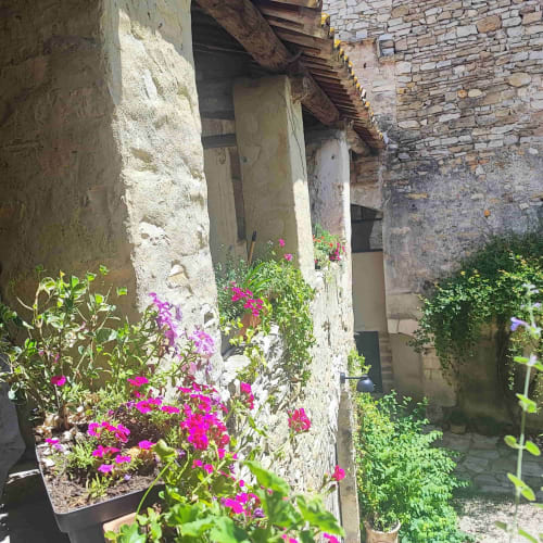 Cour de la Magnanerie de Sainte Croix avec fleurs magenta et murs en pierre, Saint Hippolyte de Caton