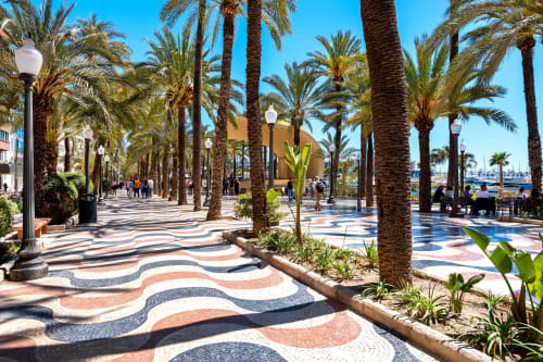 Paseo arbolado de palmeras con azulejos ondulados decorativos en el hotel ROILA360 de Alicante, España