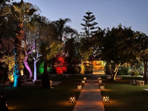 Jardin du Riad Eucalyptus la nuit, palmiers illuminés et lanternes le long du chemin à El Ghazouane, Maroc