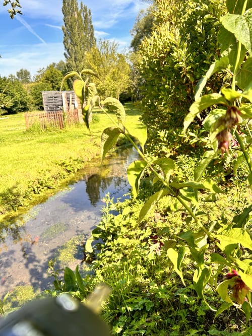 Vue pittoresque sur la rivière du gîte Mon Week End A La Mer, Hautot-sur-Mer, avec ses jardins verdoyants et eaux calmes