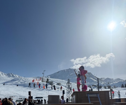 Panorama du domaine skiable de L'Alp'In à La Plagne : pistes enneigées et chaîne montagneuse