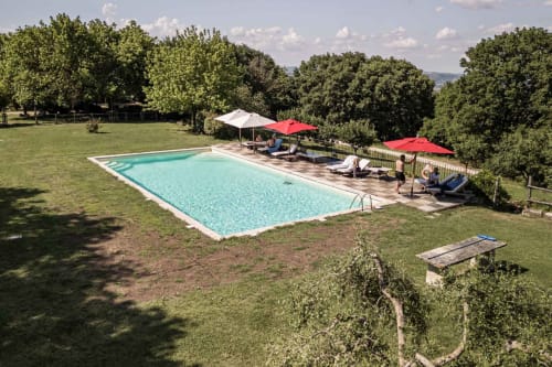 Piscina dell'hotel Donkeys and Roses a Orte, Italia con ospiti che si rilassano su lettini e ombrelloni circondati dal verde lussureggiante