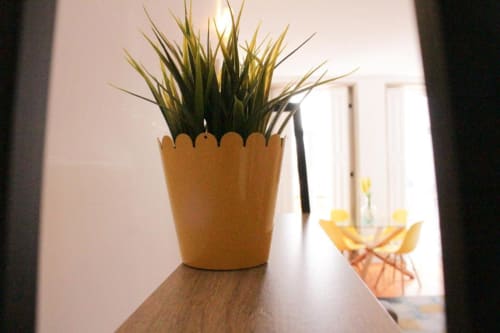 Planta decorativa com folhagem verde e amarela listrada em vaso de cerâmica bege sobre mesa de madeira em apartamento no Porto