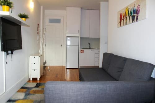 Moderno apartamento estúdio em Bom Porto com sofá cinzento, kitchenette, TV e quadro colorido de papagaio no Porto.