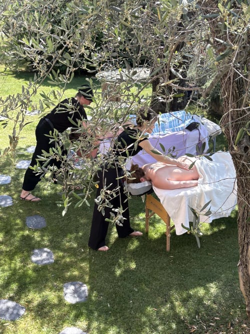 Outdoor massage therapy under olive trees at Pipa Polaris BnB in Spéracèdes, France