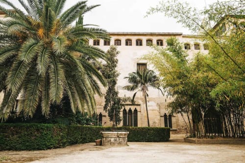La Caseta de Ròtova: patio con palmeras, edificio histórico y pozo de piedra en Ròtova, España