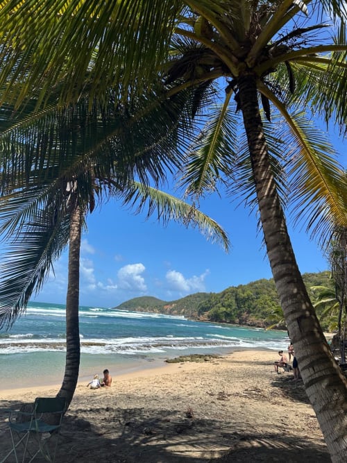 Plage tropicale de Villa Manguier avec palmiers, rivage de sable blanc et eaux turquoise à Rivière-Salée, Martinique