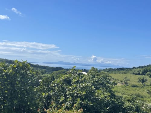 Paysage verdoyant avec vue sur la mer à la Villa Manguier, Rivière-Salée, Martinique