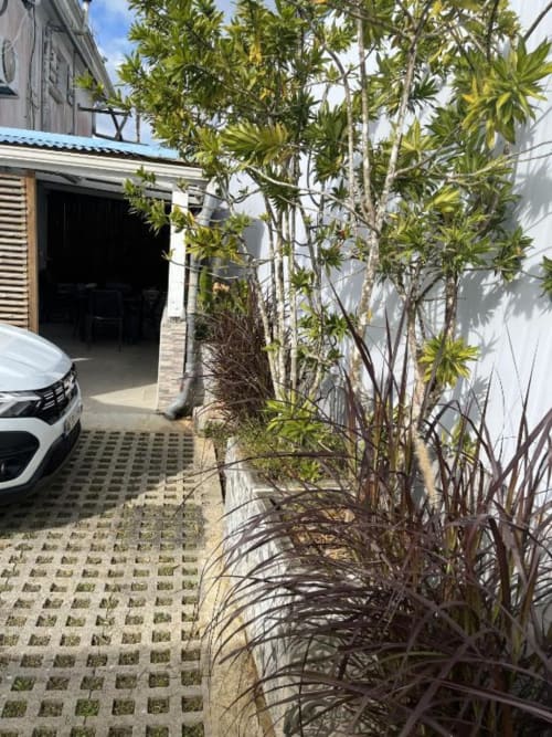 Vue du jardin à la Résidence B&L Lagon à Sainte-Luce, avec plantes tropicales, allée d'accès et entrée du bâtiment blanc