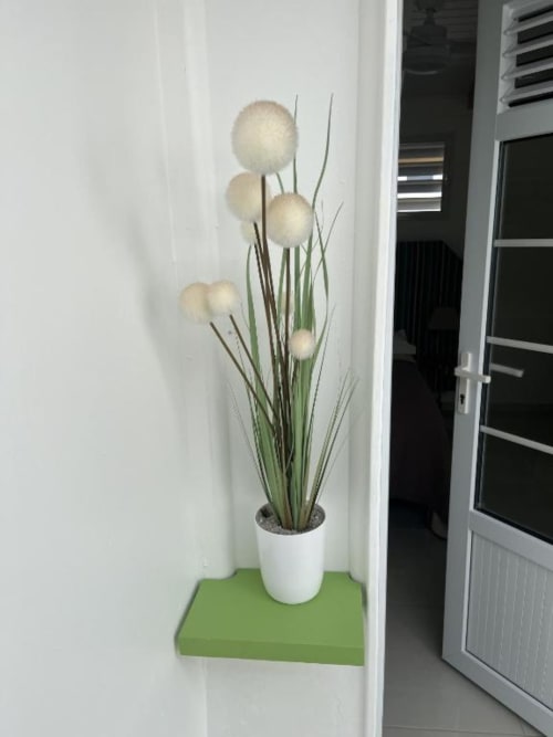 Plante blanche décorée de boules duveteuses et tiges vertes sur socle vert à la Résidence B&L Lagon de Sainte-Luce