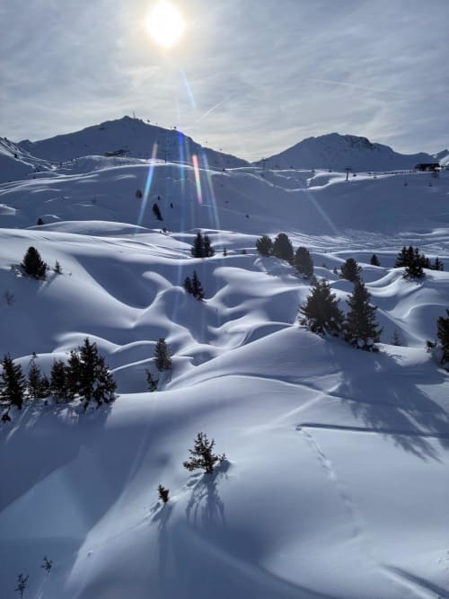 Paysage alpin enneigé avec des congères ondulantes et des sapins à L'Alp'In, La Plagne Tarentaise