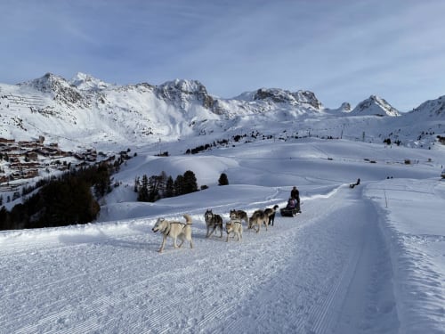 Traîneau à chiens dans la neige de La Plagne Tarentaise avec montagnes enneigées, près du gîte L'Alp'In