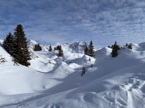 Paysage alpin enneigé à L'Alp'In, La Plagne Tarentaise avec pics enneigés et sapins