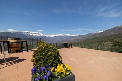 Hotel Fonsispa terrace with snow-capped mountains, purple flowers, and valley views in Renanué