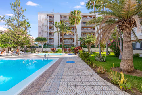 Resortpool mit Palmen und modernen Apartments im Home Stay Gran Canaria in Maspalomas