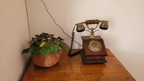 Teléfono rotatorio vintage y planta en maceta sobre mesa de madera en la villa Finca Villanueva en Mala