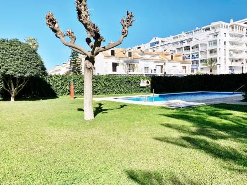 Apartamento frente al mar en Fuengirola con piscina, jardín bien cuidado y palmera podada en patio soleado