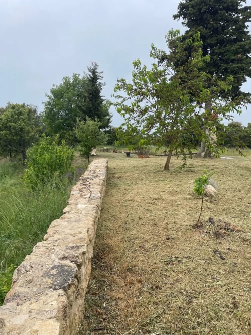 Allée de jardin bordée de pierre à la Bastide Saint Michel à Baudinard sur Verdon, ombragée par des arbres matures