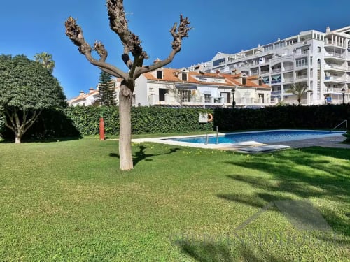 Apartamento frente a playa en Fuengirola con piscina, jardín cuidado y árbol podado bajo cielo azul