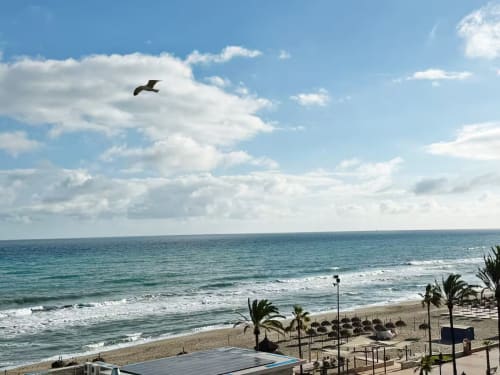 Terraza frente al mar en Fuengirola con vistas al Mediterráneo turquesa, palmeras y tumbonas