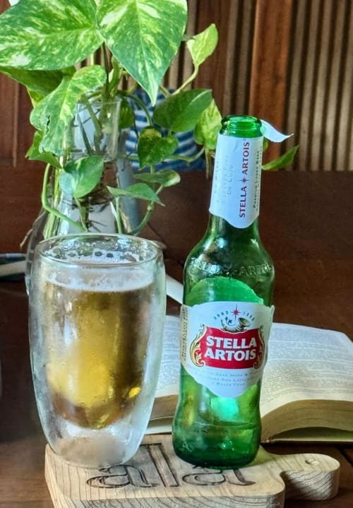 Cerveza Stella Artois servida en copa con planta verde de fondo en villa Ala Residencias de Chetumal
