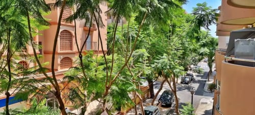 Patio exuberante de apartamento Grupo Inmo House en Fuengirola con edificios de terracota y árboles verdes