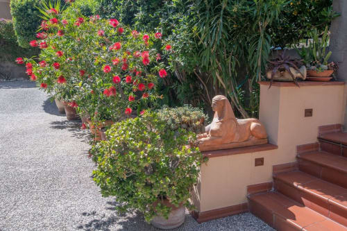 Fiori rossi in fiore e vegetazione nel giardino mediterraneo dell'appartamento Welcome Varigotti, Liguria