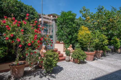 Lussureggiante giardino mediterraneo dell'hotel Welcome Varigotti a Finale Ligure con fiori rossi e piante in vaso su ghiaia