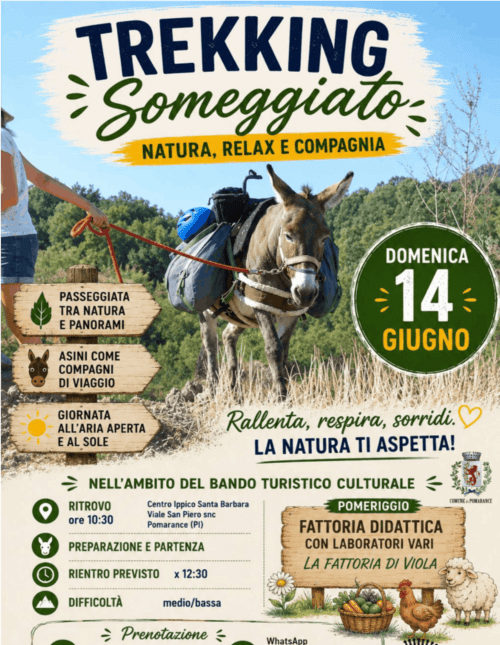 Volantino Trekking Someggiato con escursione in asino a Montecatini Val di Cecina il 14 giugno