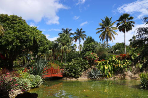 Passerelle rouge enjambant un étang entouré de palmiers et jardins tropicaux à l'Art Lodge Kafé, Bouillante, Guadeloupe