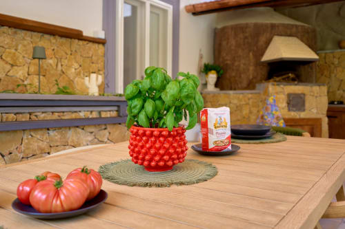 Kitchen table in Lemon Garden Escape villa with fresh basil plant, tomatoes, and pasta box in Sorrento