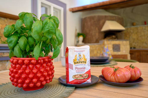 Italian kitchen scene with basil plant, Caputo flour, fresh tomatoes in Sorrento villa garden room