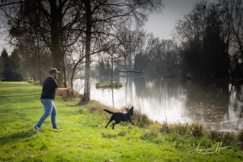 Homme jouant à la balle avec un chien noir près d'un canal tranquille aux Rives du bel air, refuge champêtre français
