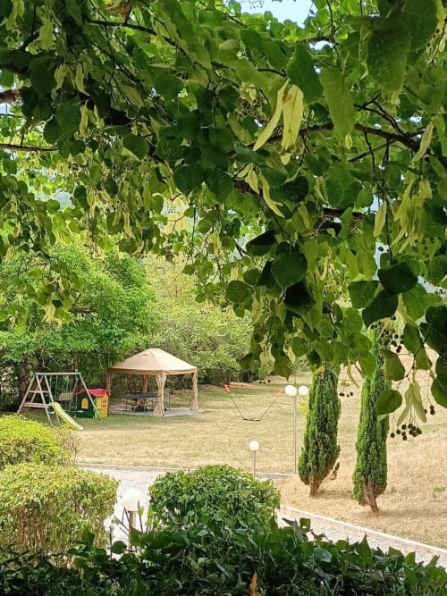 Jardin ensoleillé du Domaine de la Méouge avec kiosque, aire de jeux, cyprès et végétation retombante à Barret-sur-Méouge