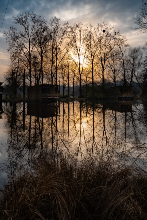 Lever de soleil serein au bord du lac aux Rives du Bel Air, arbres nus reflétés dans l'eau calme, campagne française.