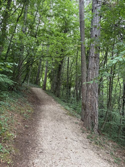 Sentiero escursionistico nel bosco tra alberi alti vicino a Affittacamere Mercedes a Romallo, Italia