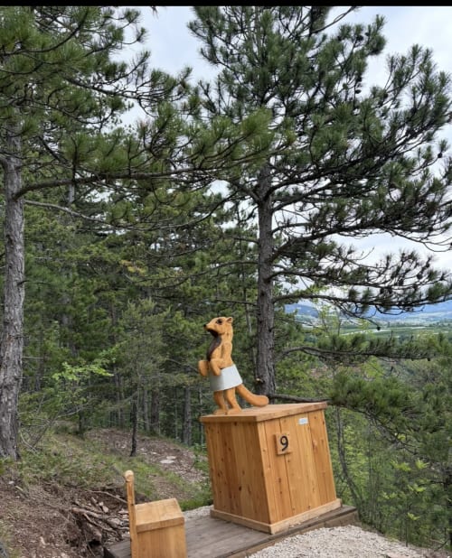 Scultura in legno di suricato al marker 9 presso Affittacamere Mercedes a Novella, Romallo, con vista montagna