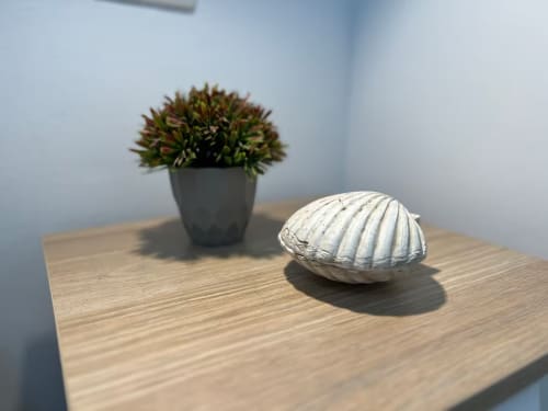 Concha decorativa y suculenta en maceta sobre mesa de madera en apartamento de playa en Fuengirola