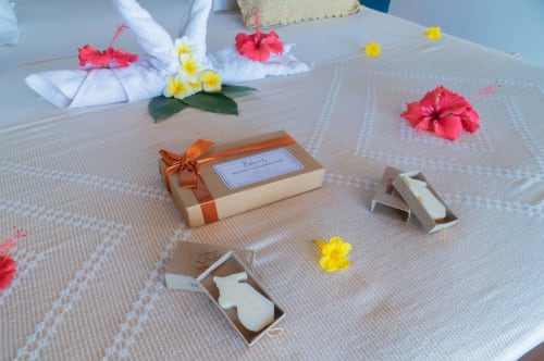 Affichage d'accueil de Belamandy Lodge avec fleurs, produits de toilette et coffret cadeau sur le lit de l'hôtel Nosy Be