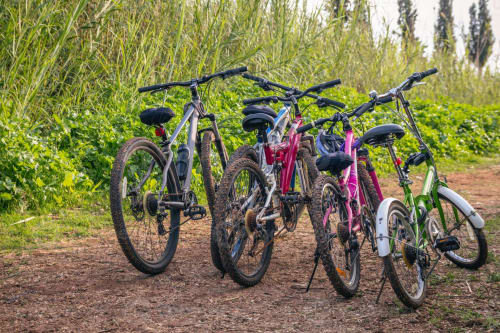 Row of bicycles parked on dirt path with lush green vegetation at Chalet école des Cîmes, Bozel