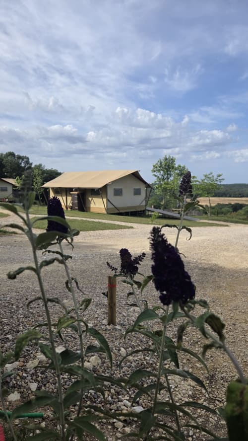Glamping tent bij Home Sweet Lodge Aquitaine met donkere bloemen op de voorgrond, groene velden onder blauwe lucht