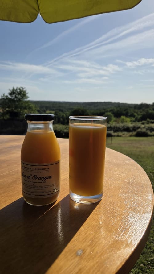 Fles en glas Jus d'Oranges sinaasappelsap op houten tafel met uitzicht op het Aquitaanse platteland onder parasol bij Home Sweet