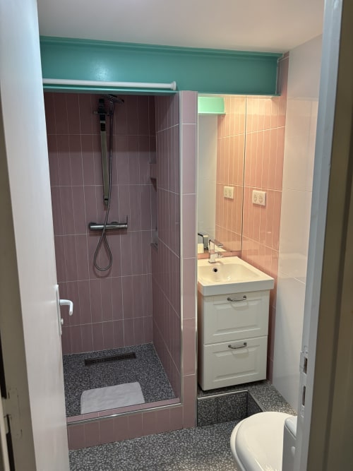 Modern bathroom in Duplex Marais apartment near Pompidou, Paris with burgundy tiled shower, white sink vanity, and toilet