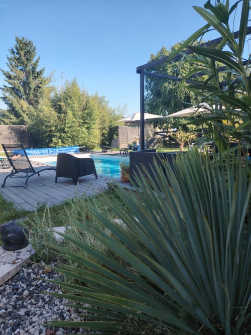 Zone piscine du Paddock BnB avec chaises longues, pergola et plantes tropicales à La Drenne