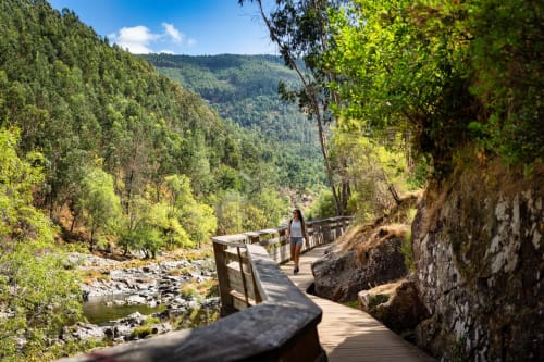 Passadiço de madeira atravessando um vale florestal exuberante com córrego, experiência de trilha natureza EcoHost Matosinhos