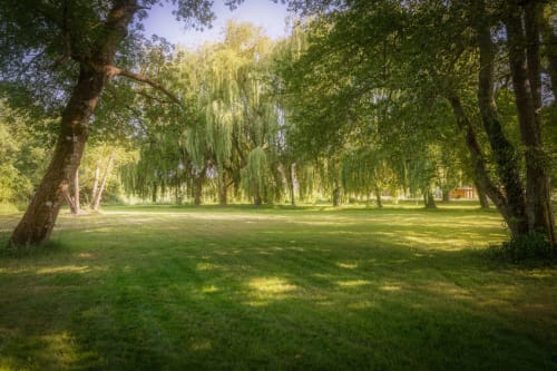 Lush green parkland with mature trees at Domaine De Bafave, a serene French countryside bed and breakfast in Périssac.