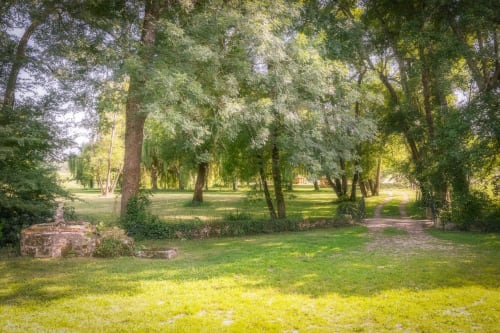 Shaded tree-lined park pathway at Domaine De Bafave, a French countryside bed and breakfast in Périssac