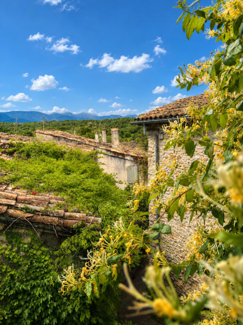 Charmante maison de pierre rustique avec fleurs jaunes et vue sur les montagnes en Provence