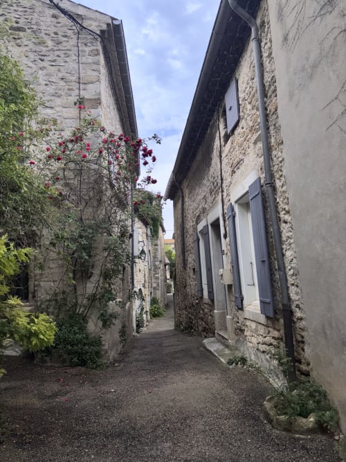 Charmelle ruelle pavée à Entre Ciel et Lettres avec maisonnettes en pierre, roses grimpantes et volets bleus en zone rurale