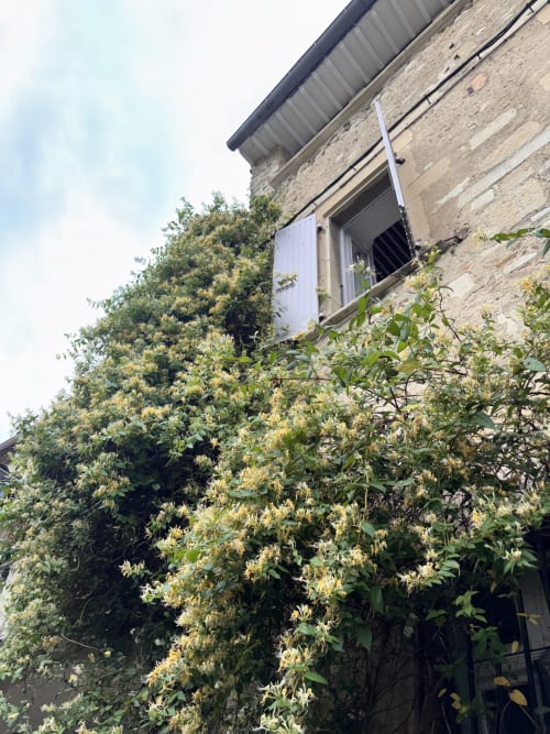 Bâtiment en pierre avec un store blanc à Entre Ciel et Lettres, gîte français, entouré de lierre grimpant